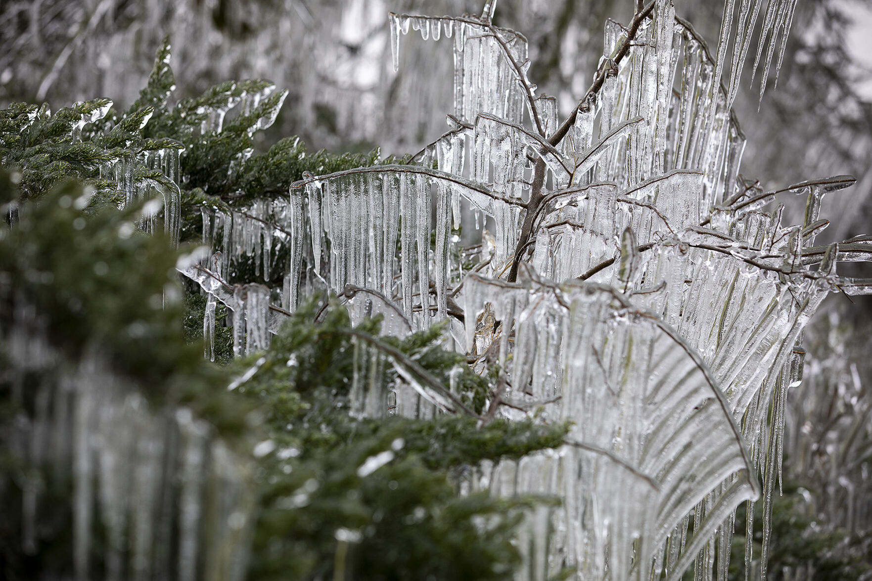 Winter weather